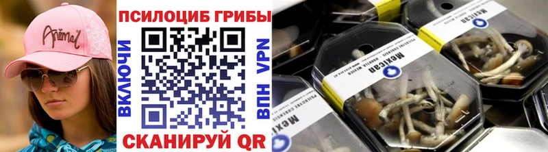 цены наркотик  Барабинск  Галлюциногенные грибы MAGIC MUSHROOMS 